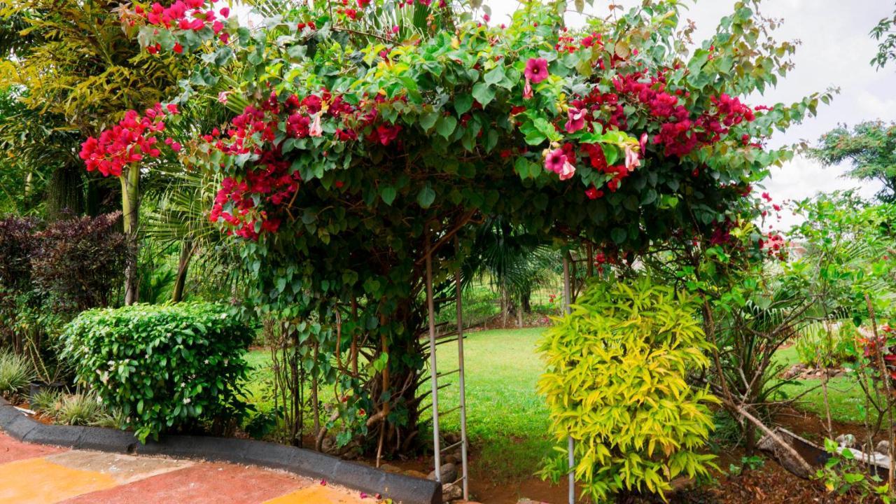 Villa Cliffe Ranch Mandeville Exterior foto